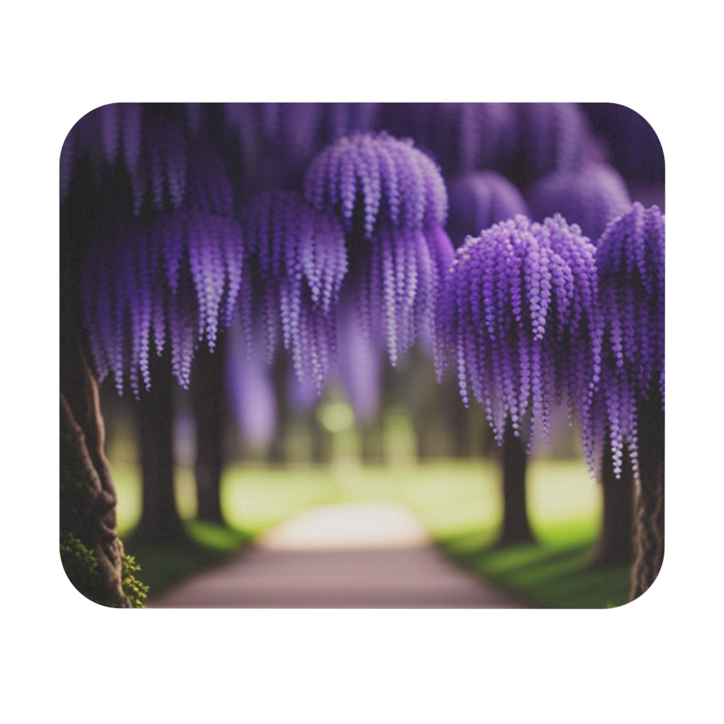 Wisteria Path